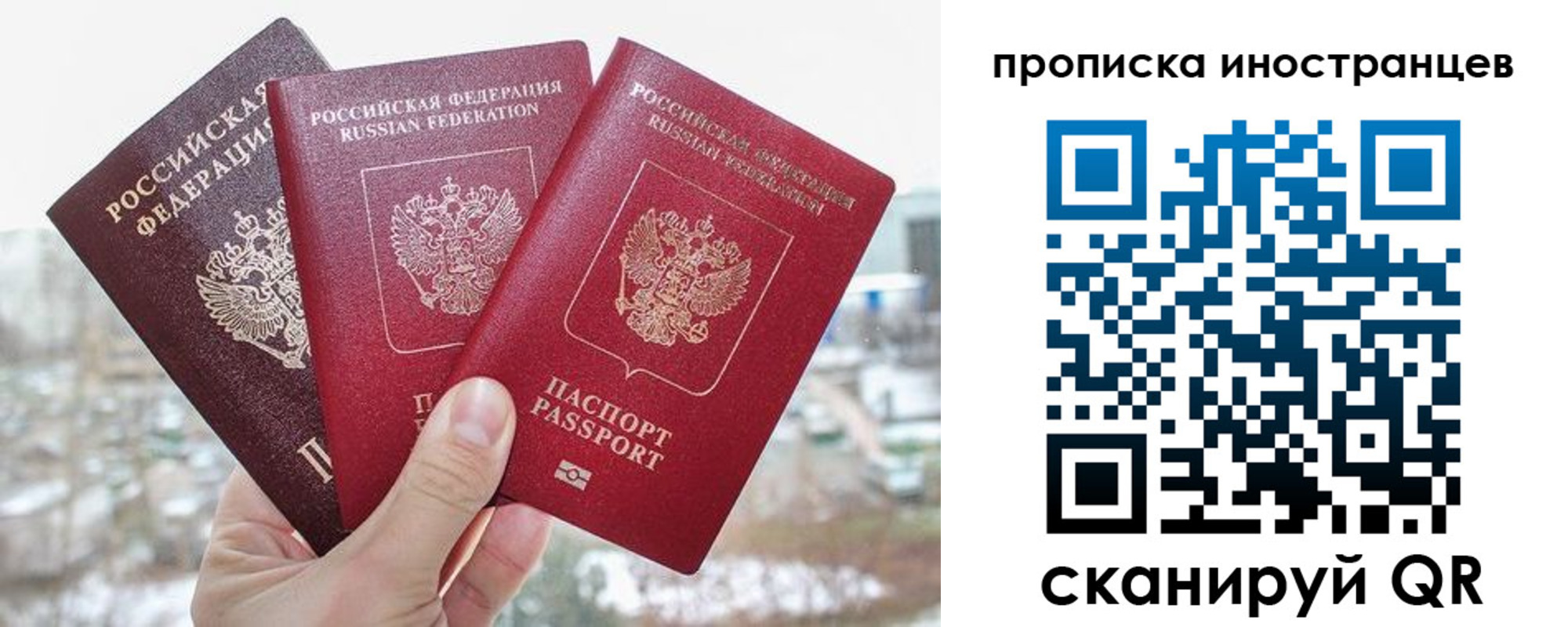 временная регистрация поиск в Щиграх
